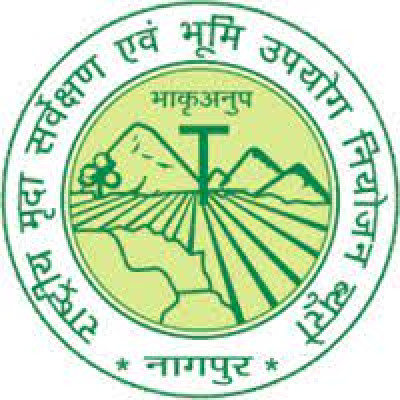 Logo 12