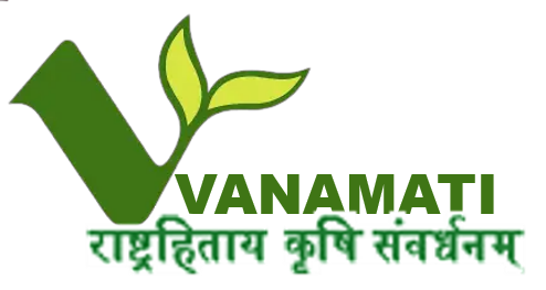 Logo 13